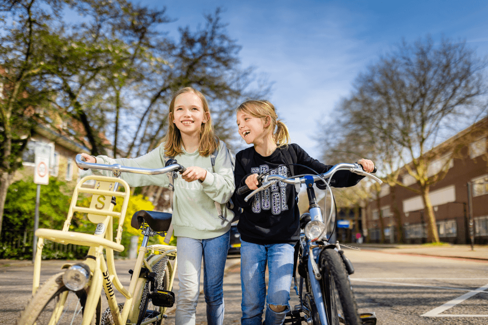 Vernieuwing oosterlaan en Westerlaan