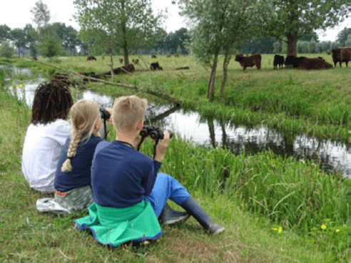 Veldlessen vechterweerd