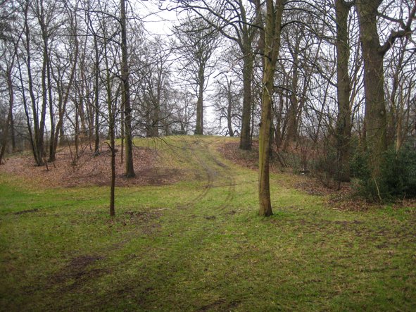 Foto van de Spoolderberg