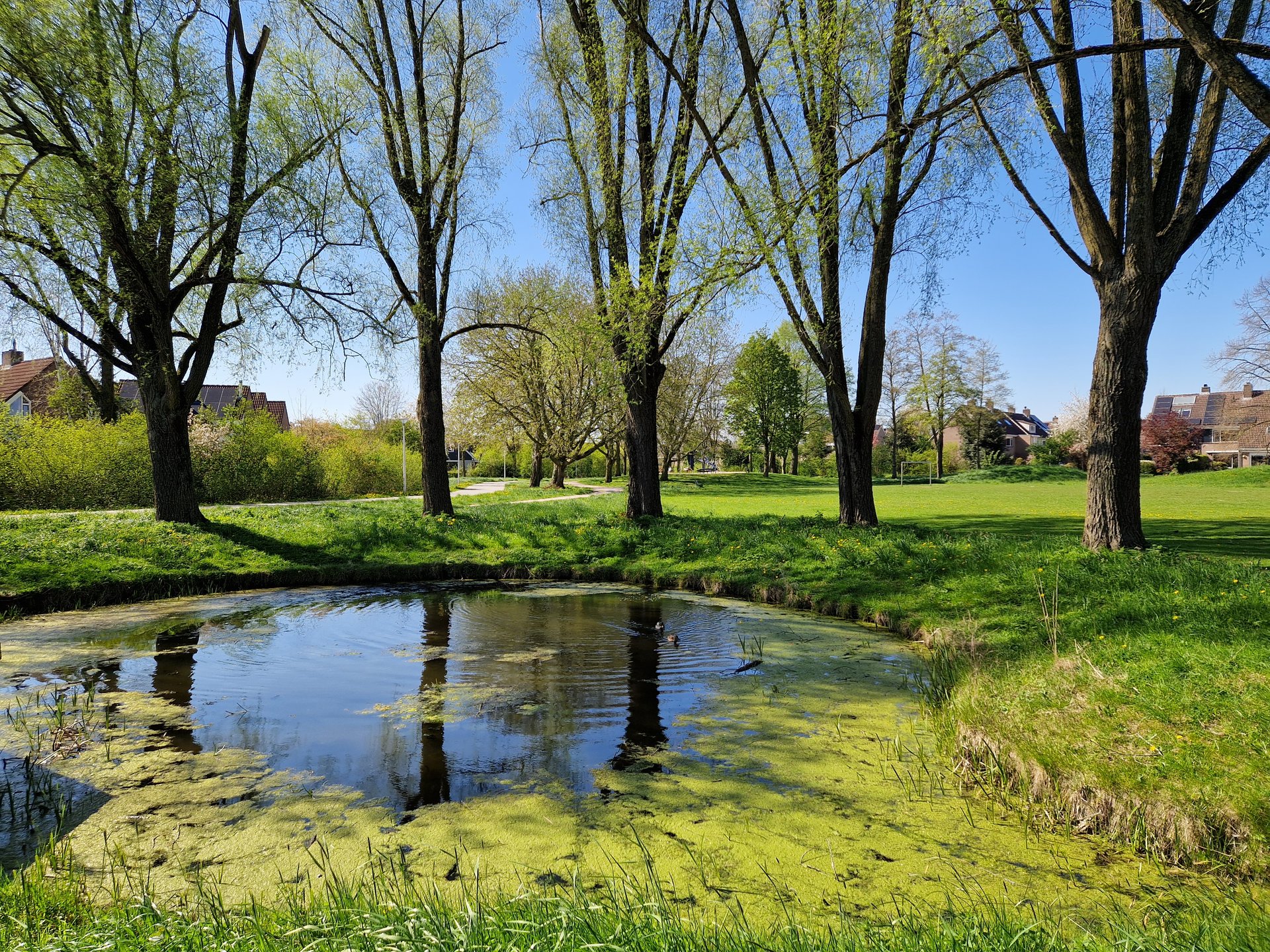 Park Gerenlanden