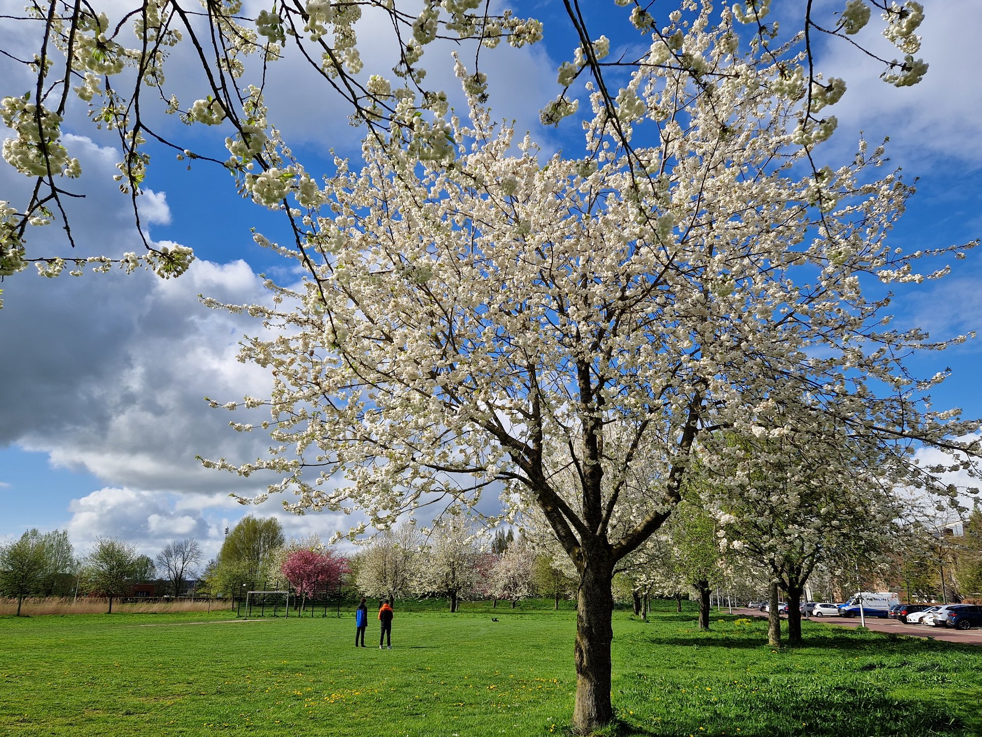 Oude Weteringpark