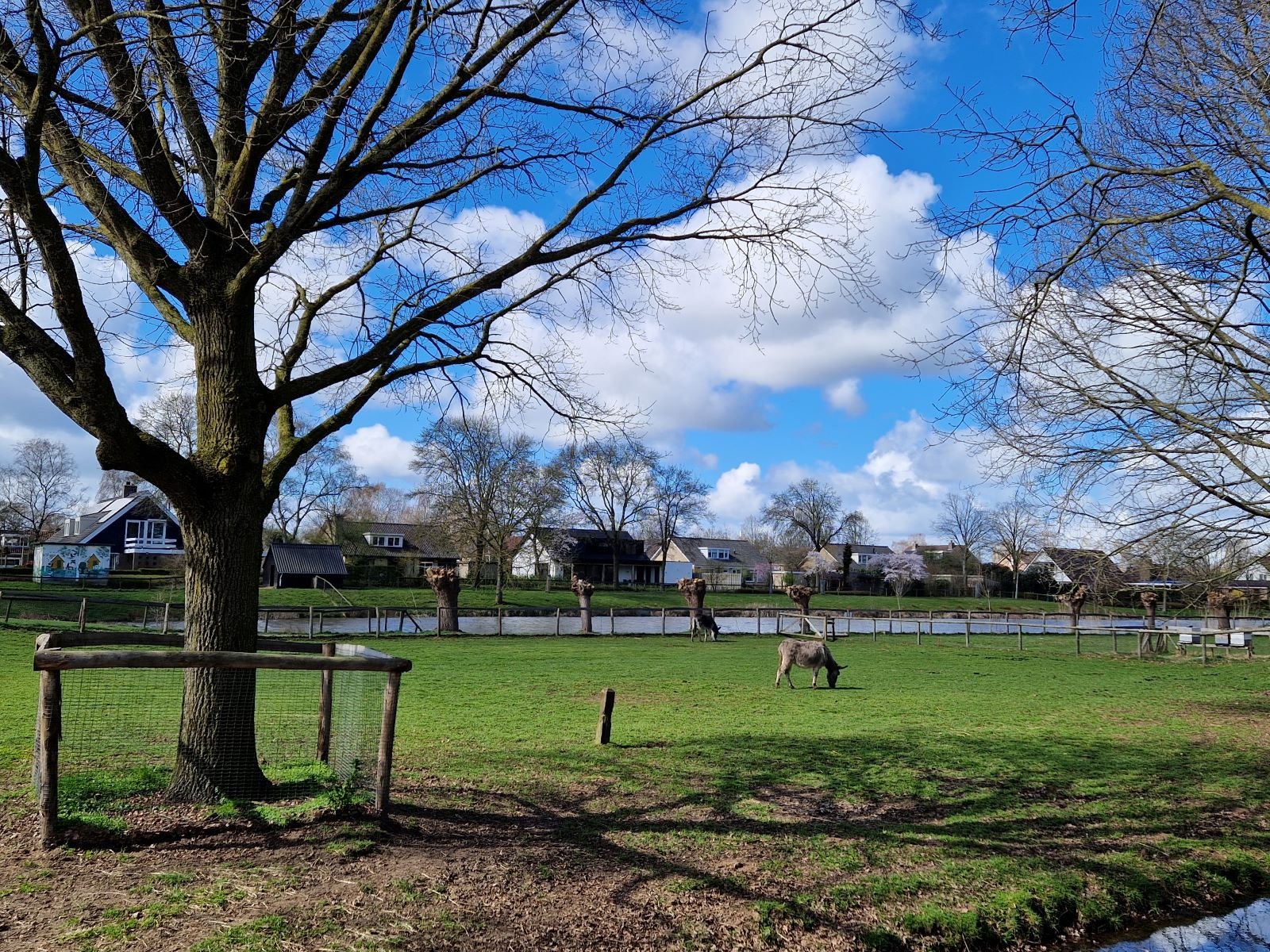 Wijkpark Berkum
