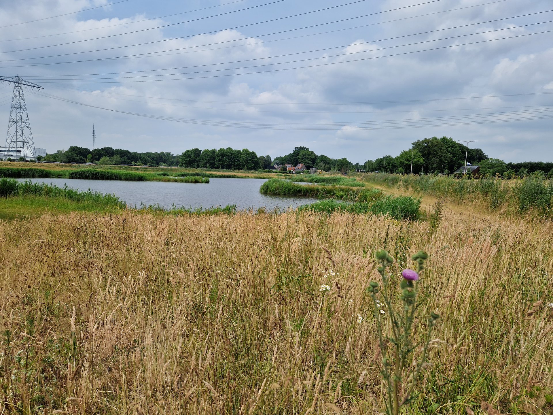 Zalnépark 