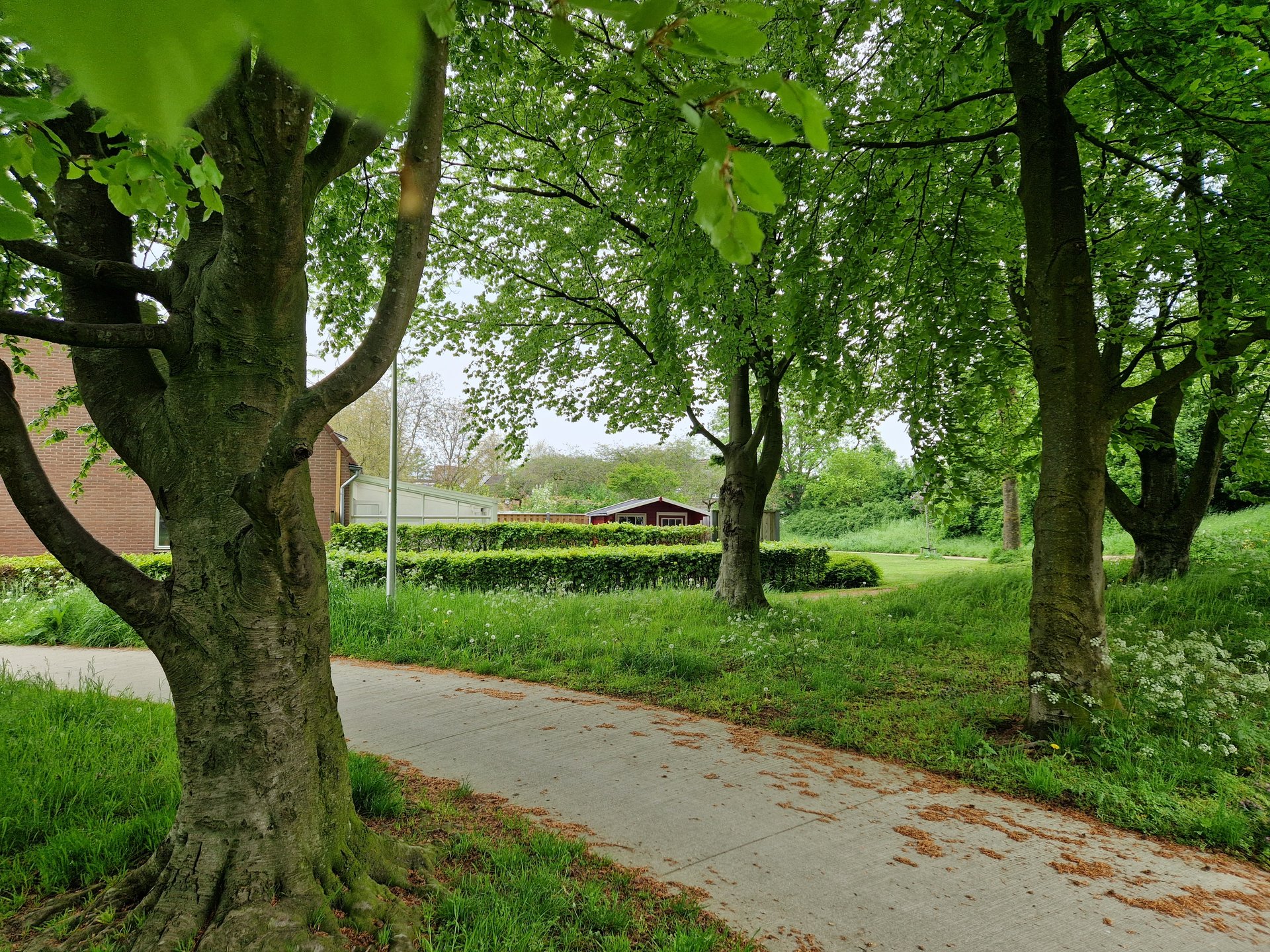 Park Gerenbroek