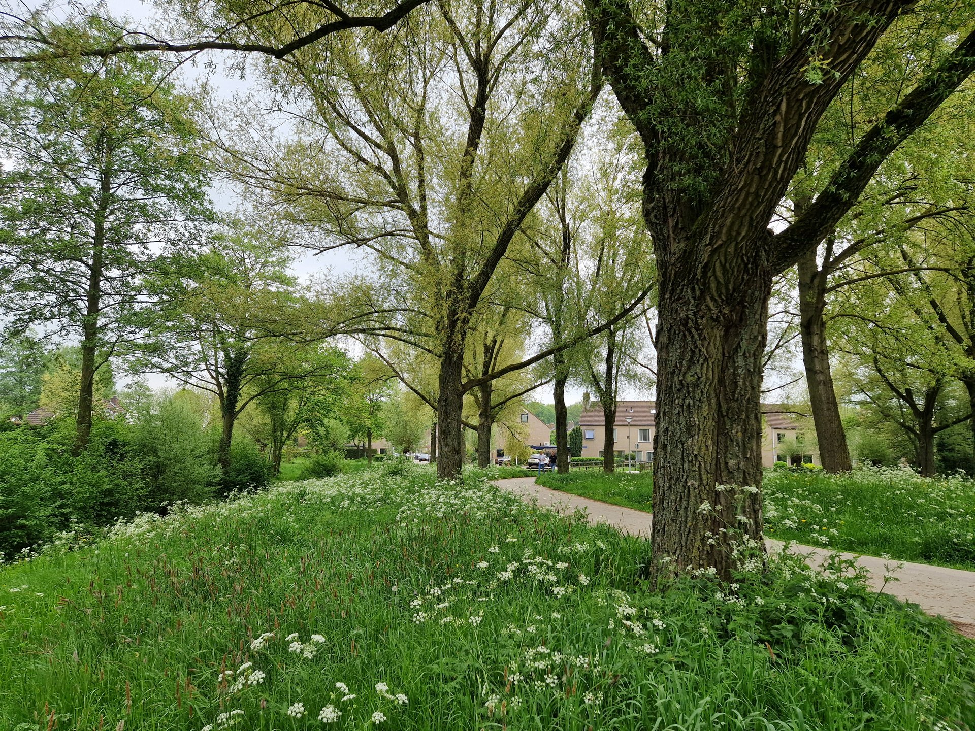 Park Gerenbroek