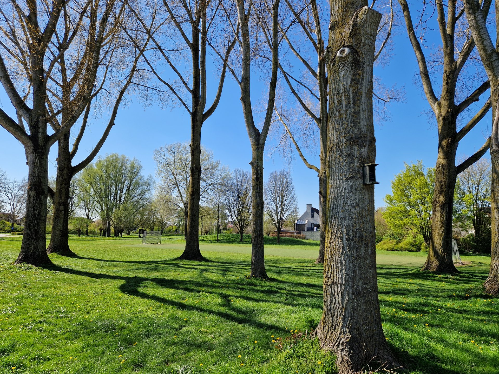 Park Gerenlanden