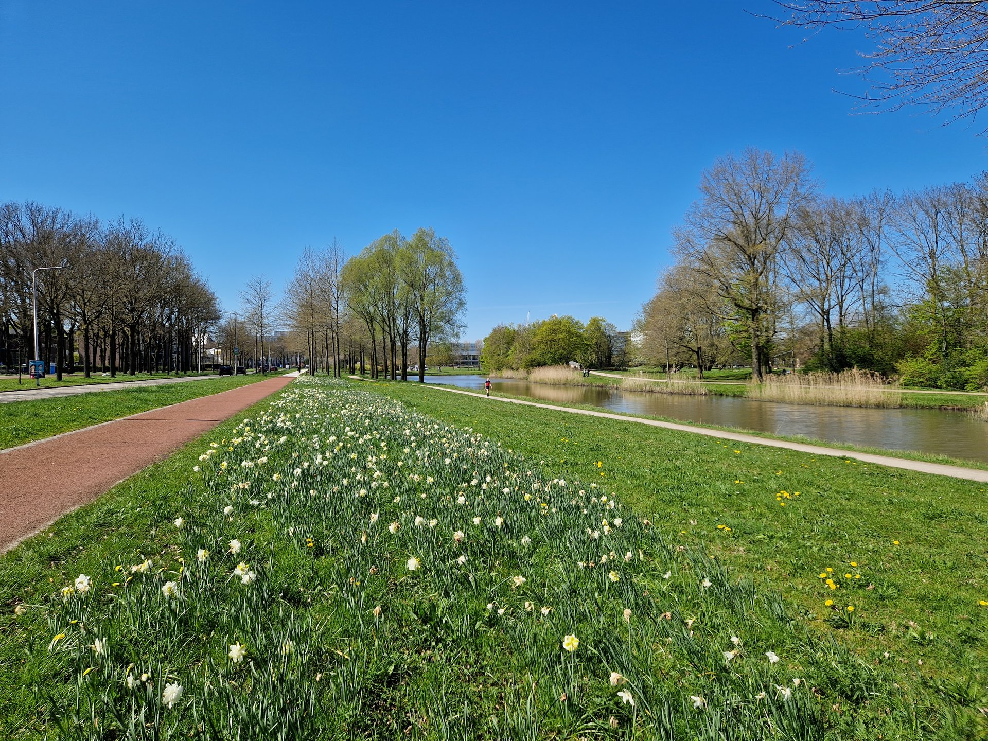 Park de Wezenlanden