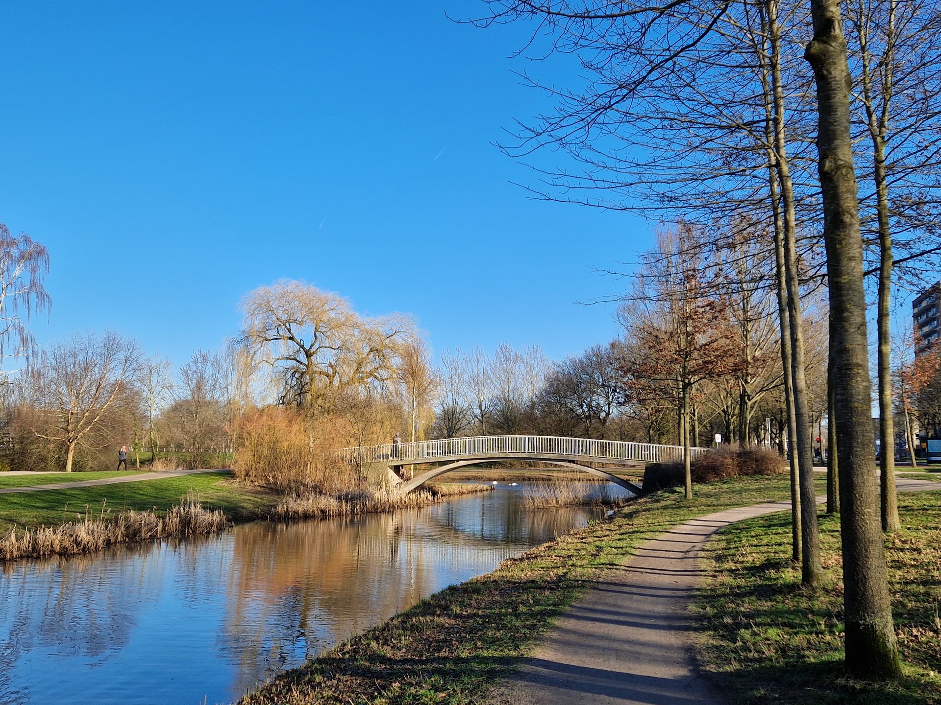 Park de Wezenlanden