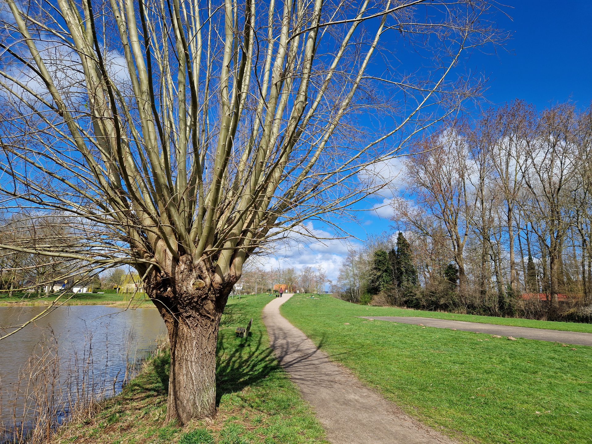 Wijkpark Berkum