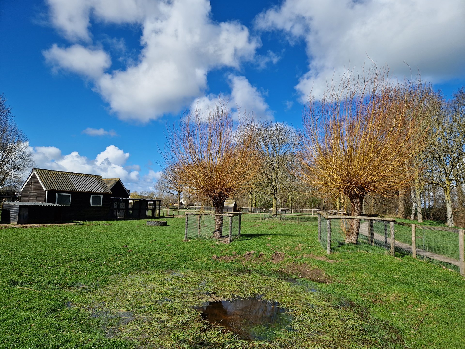 Wijkpark Berkum