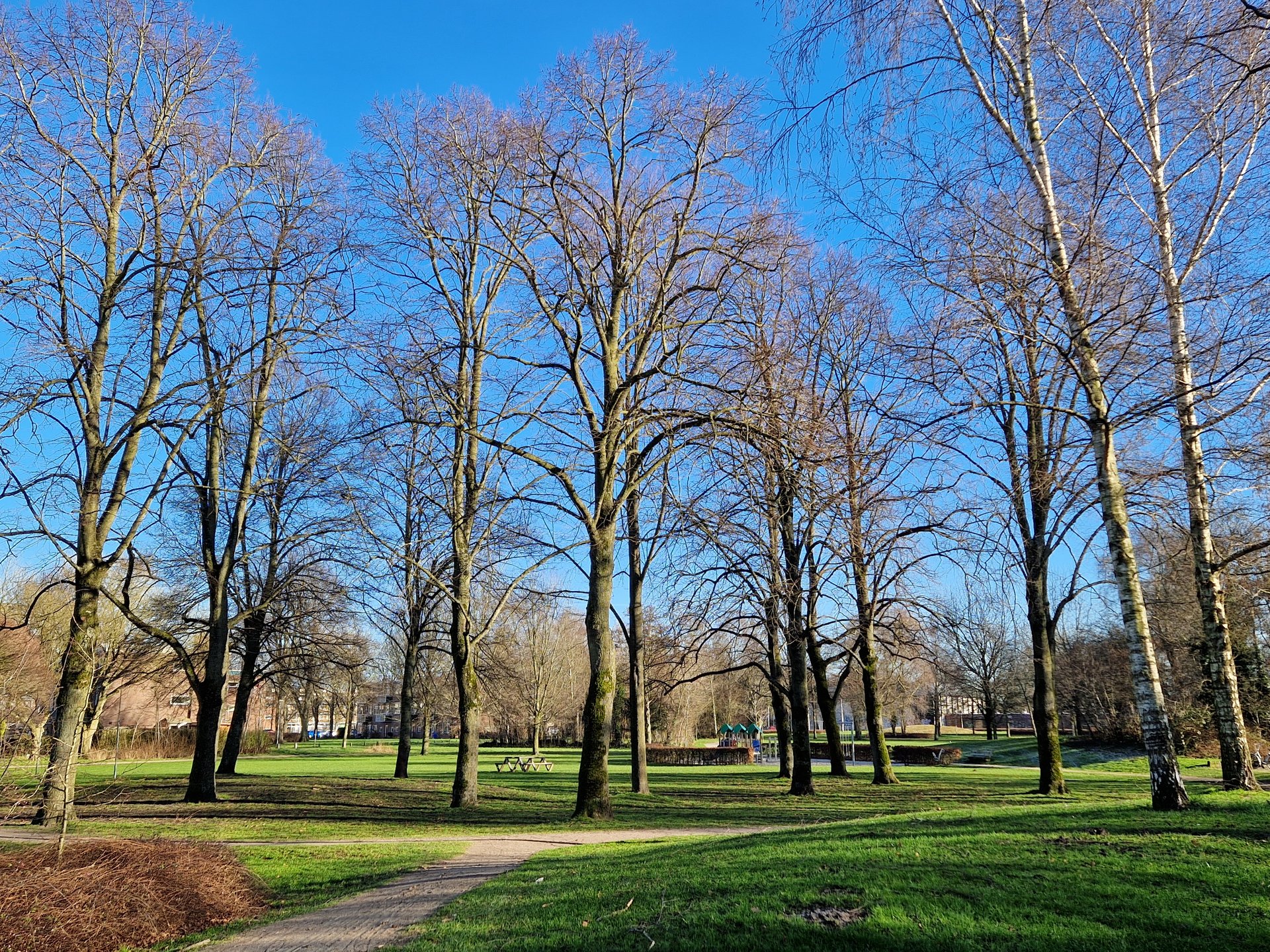 Park de Hoogenkamp 3