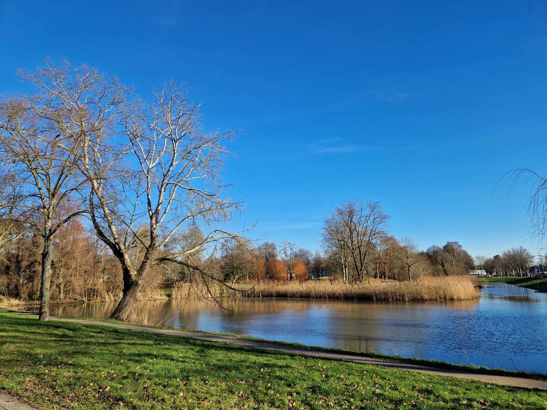 park de Hoogenkamp 1