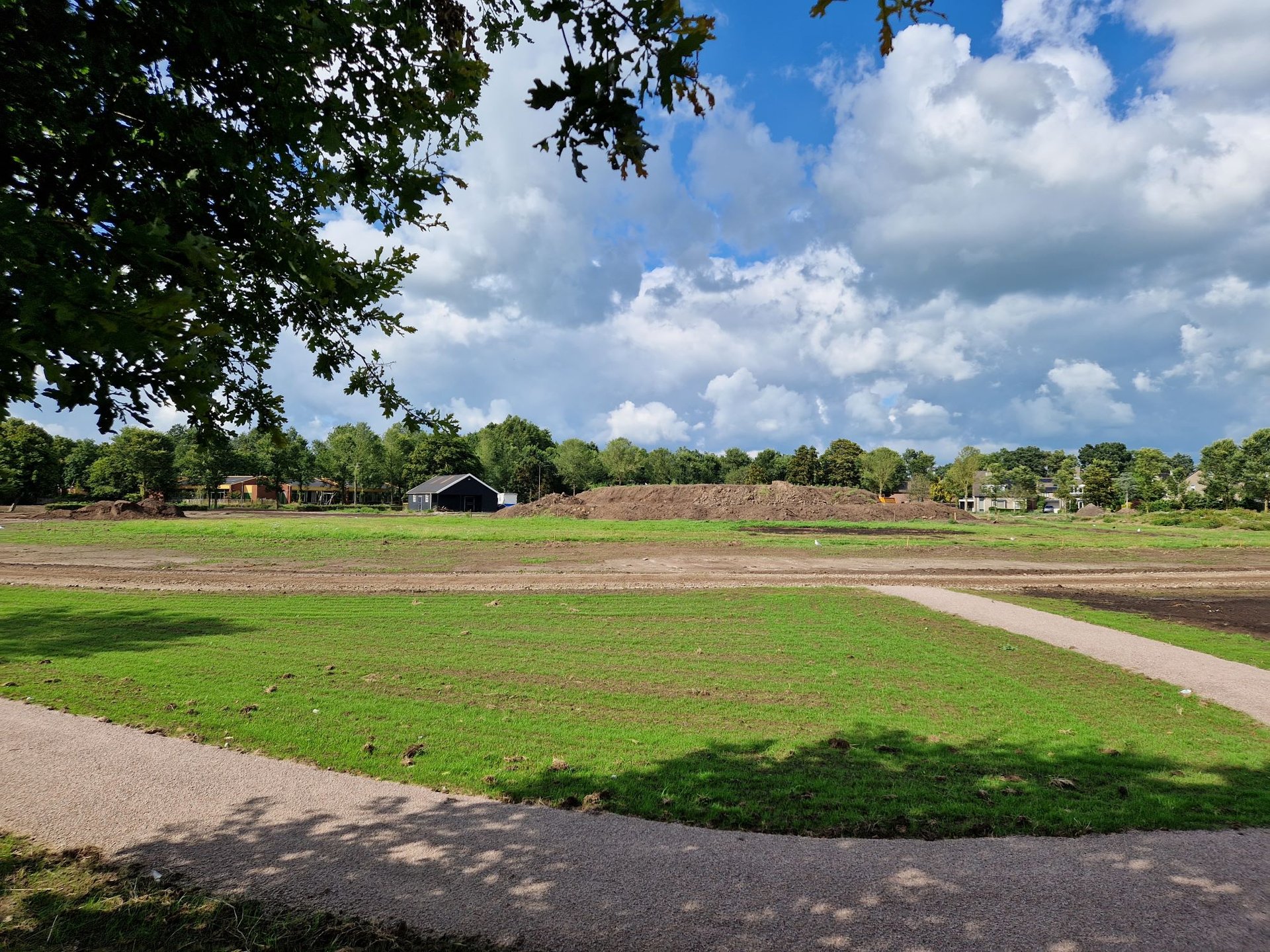 Grasveld en wandelpad in Stinspark
