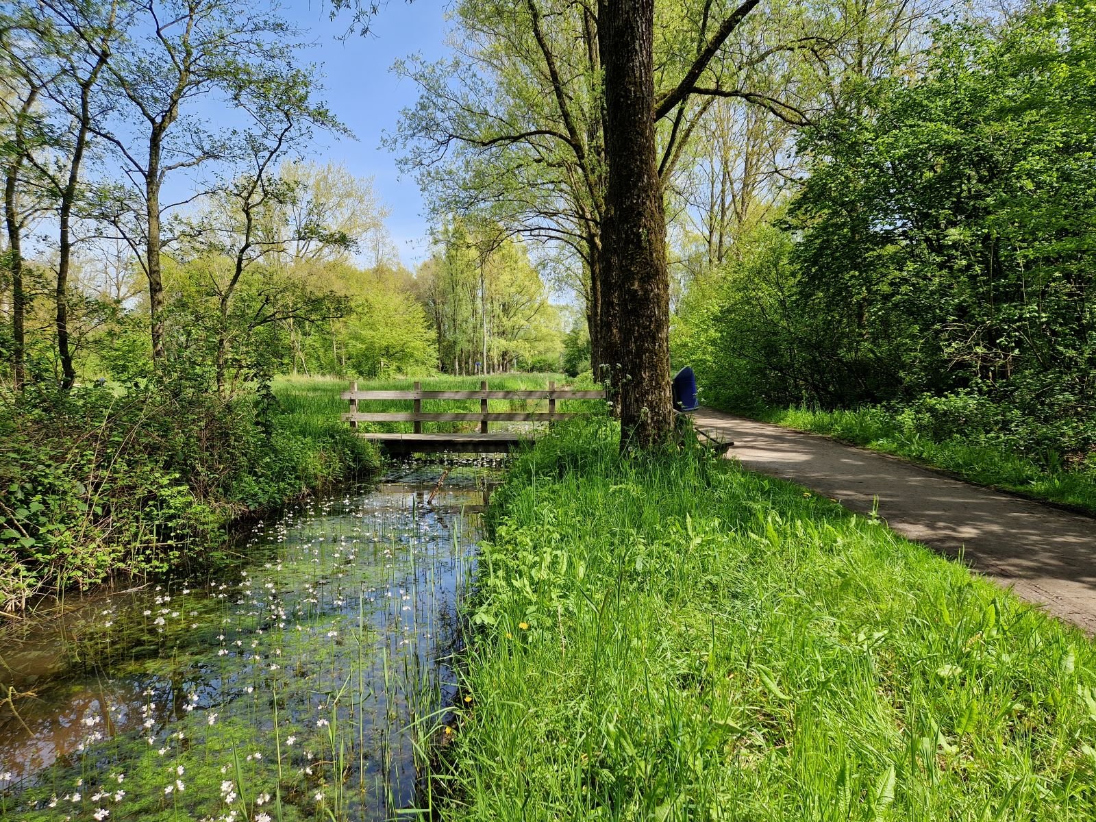 Spoolderbos