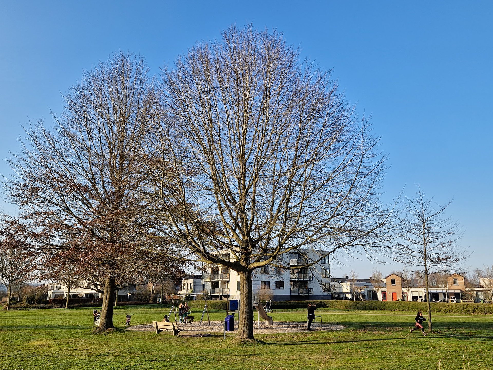 Arsenaultplantsoen