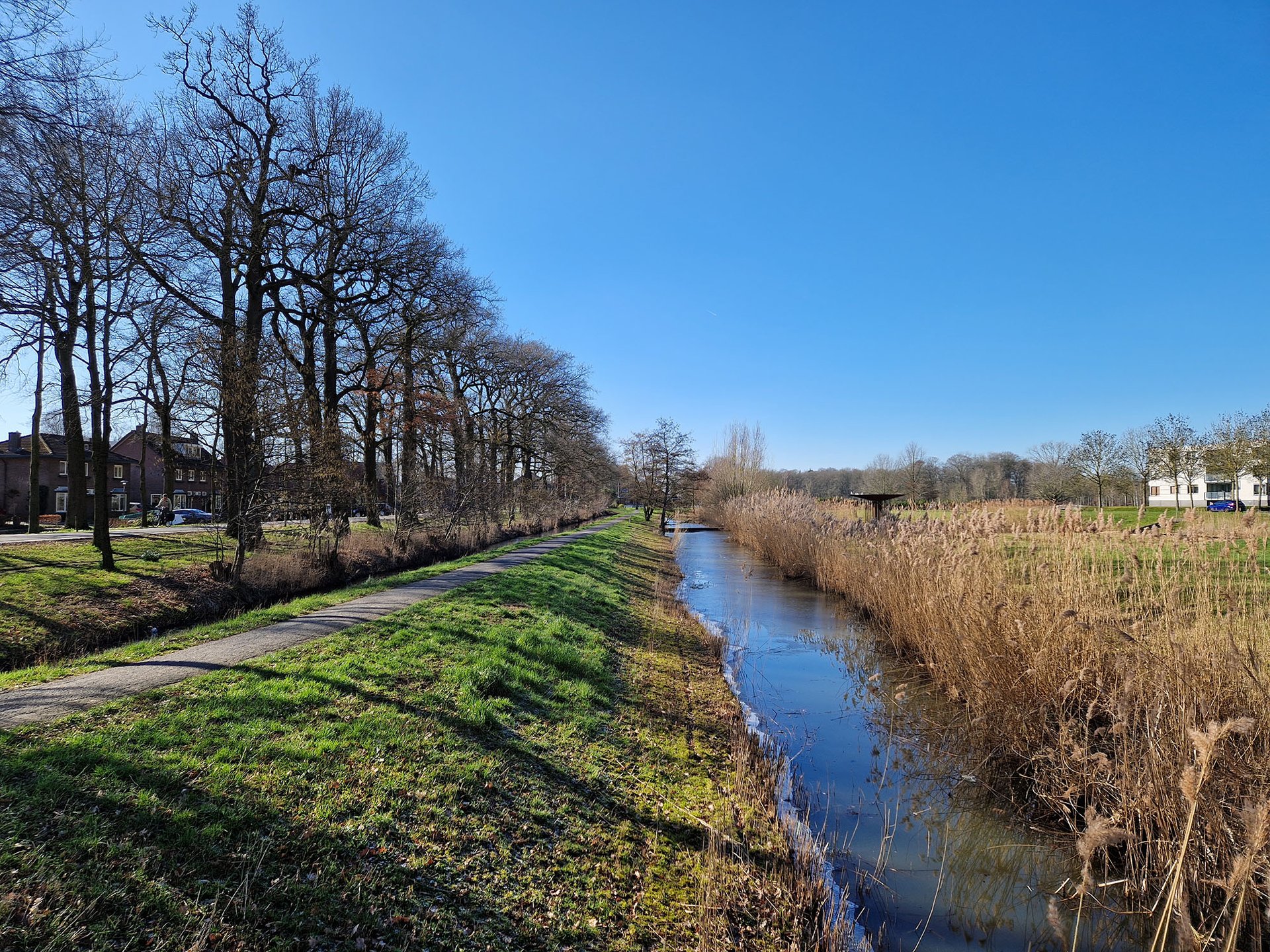 Arsenaultplantsoen