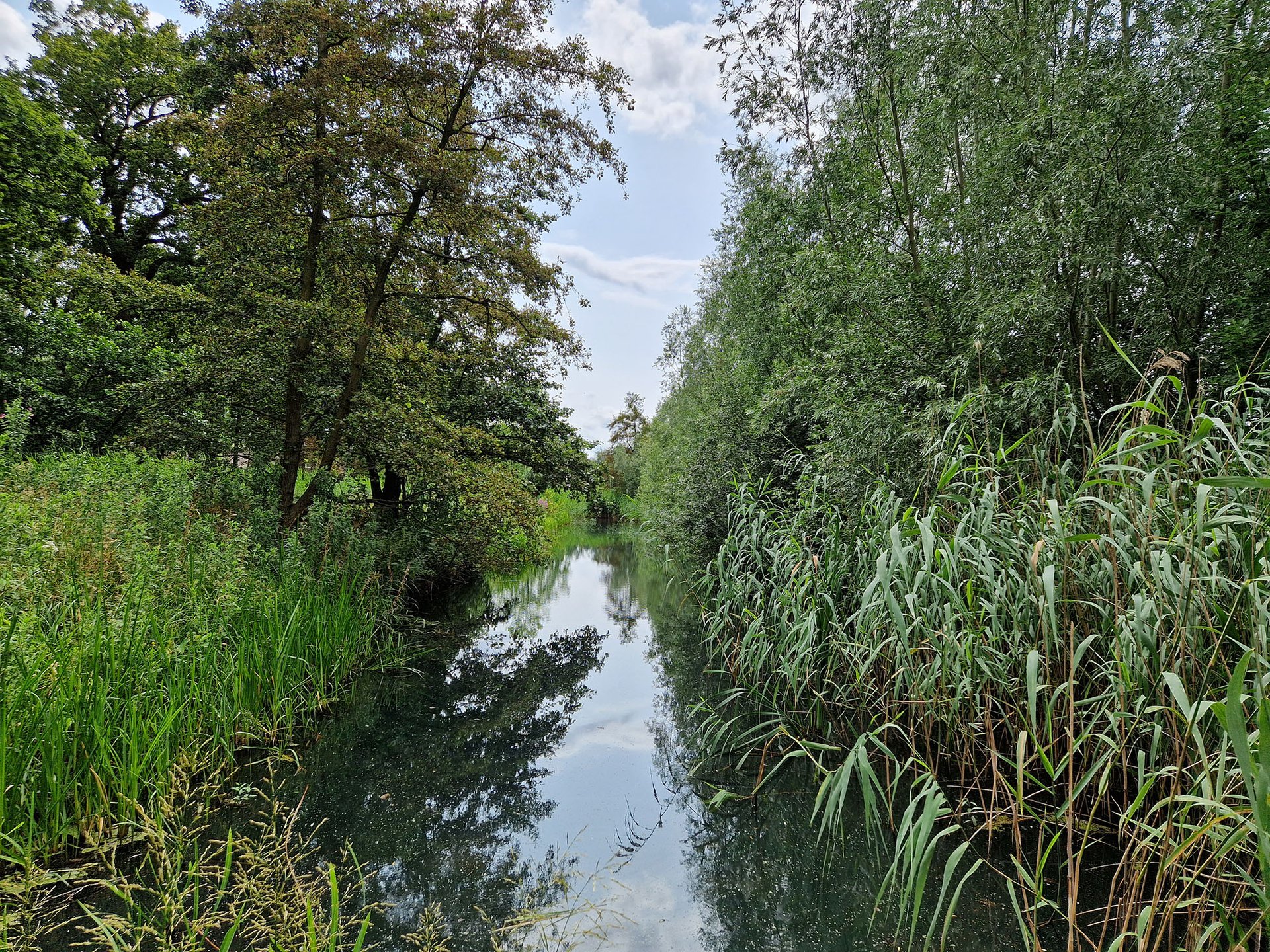 Arsenaultplantsoen