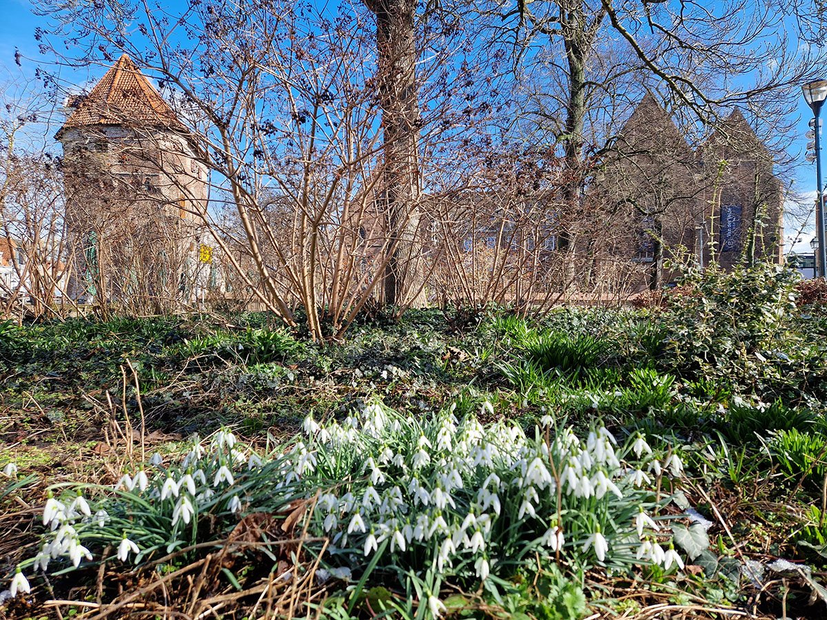 Broerenkerkplein 3