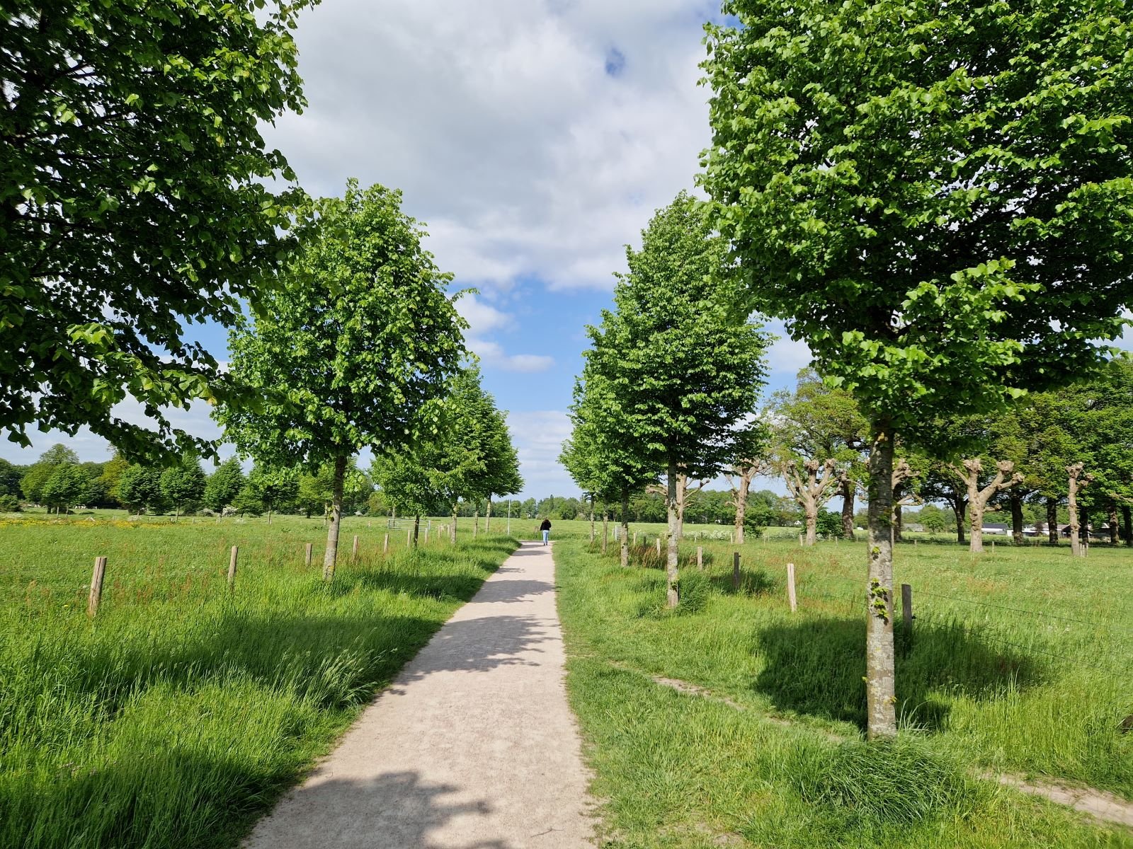 Park Gooseveld