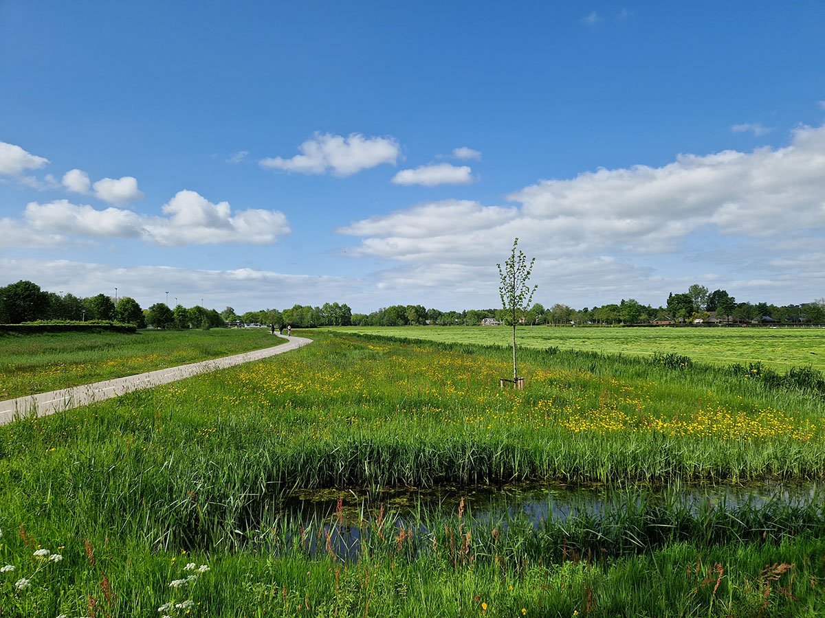 Goosebroek