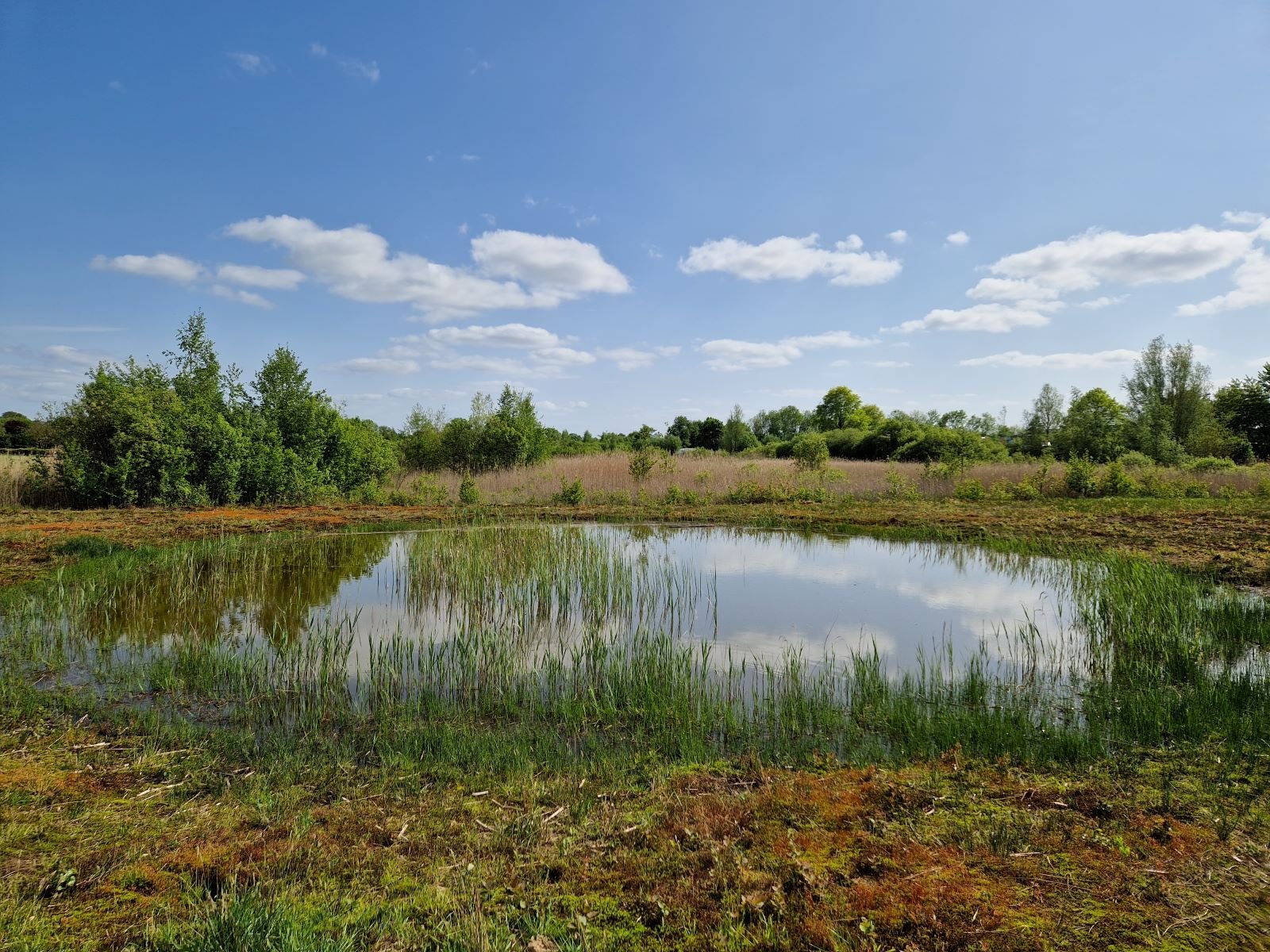Park Gooseveld