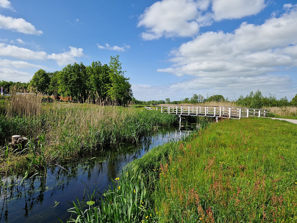 Goosebroek