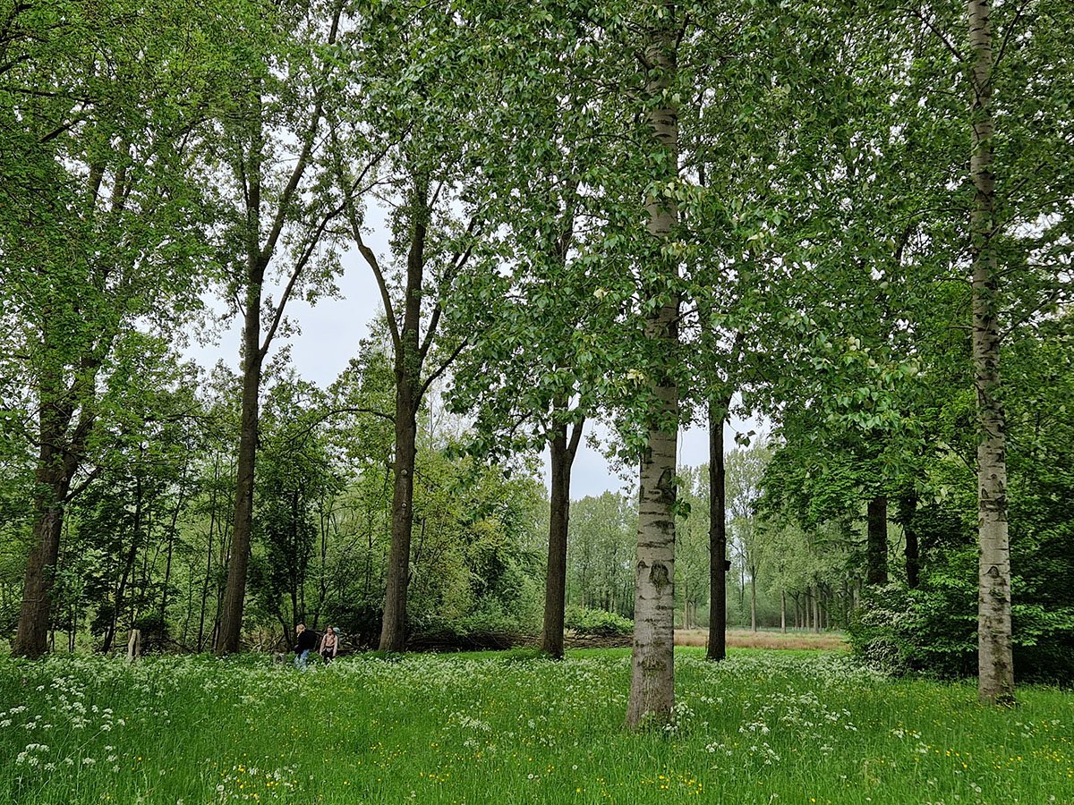 Holtenbroekerbos