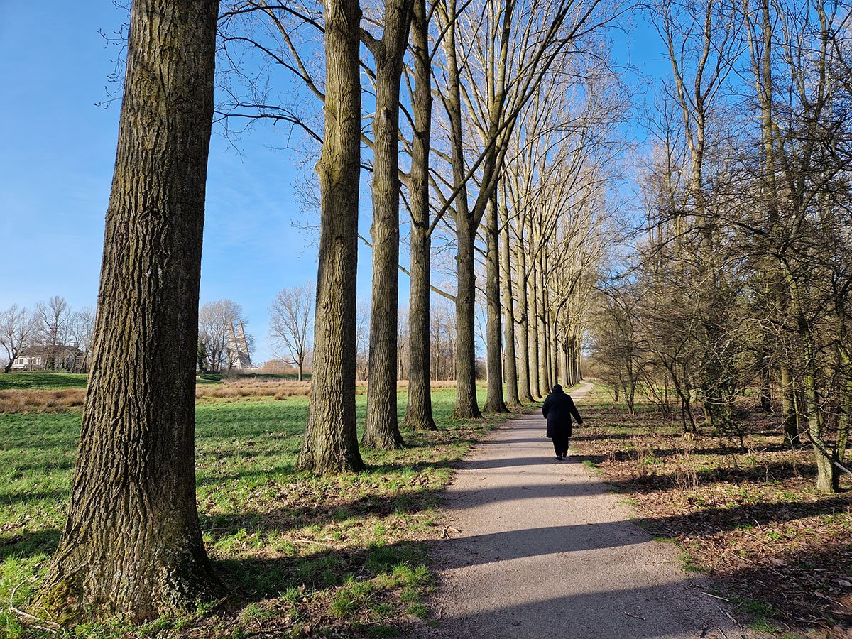 Holtenbroekerbos