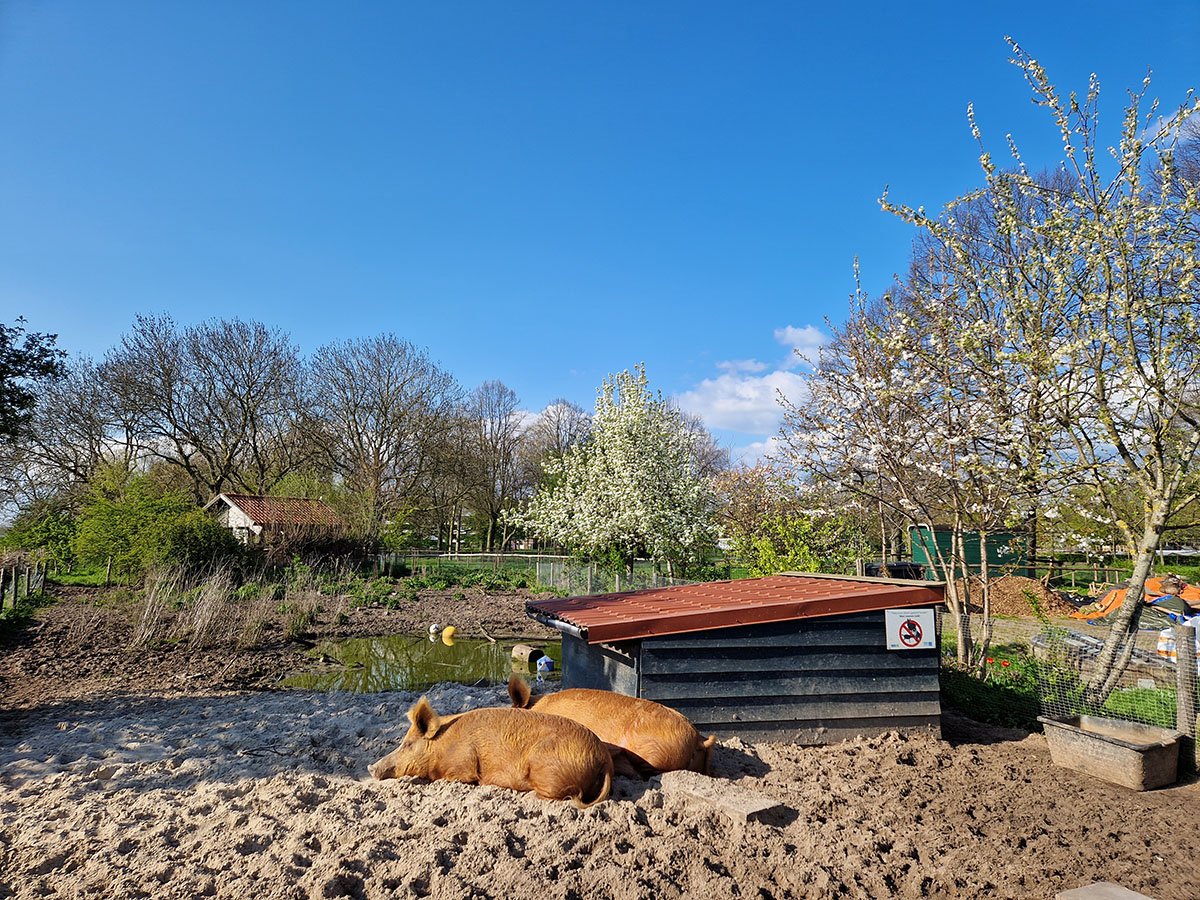 Klooienbergpark