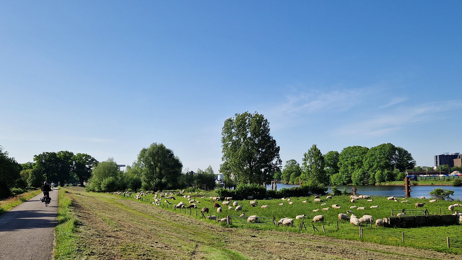 Klooienbergpark