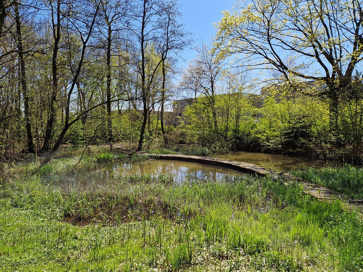 Nooterhof 