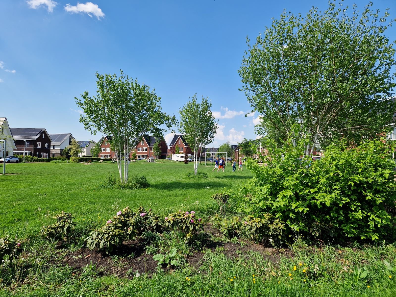 Park Breecamp