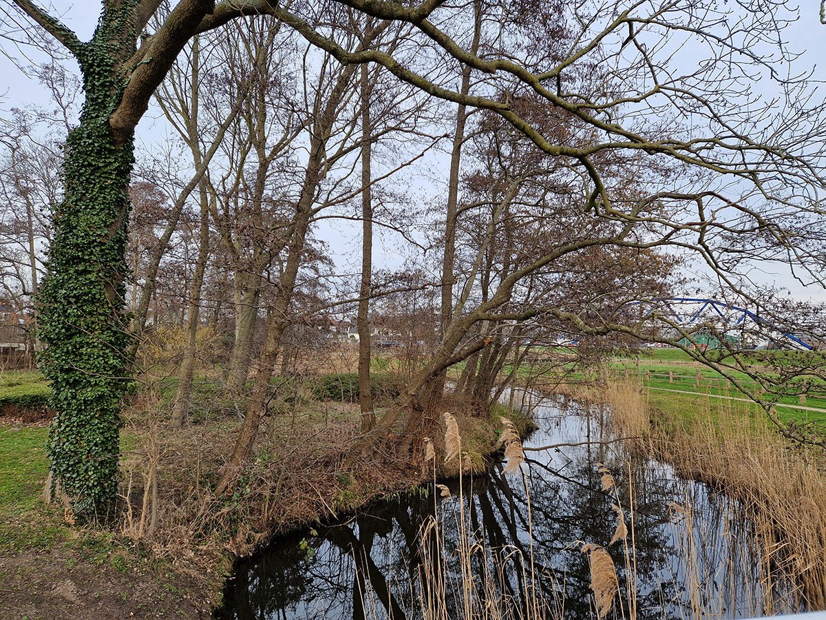 Frankhuispark