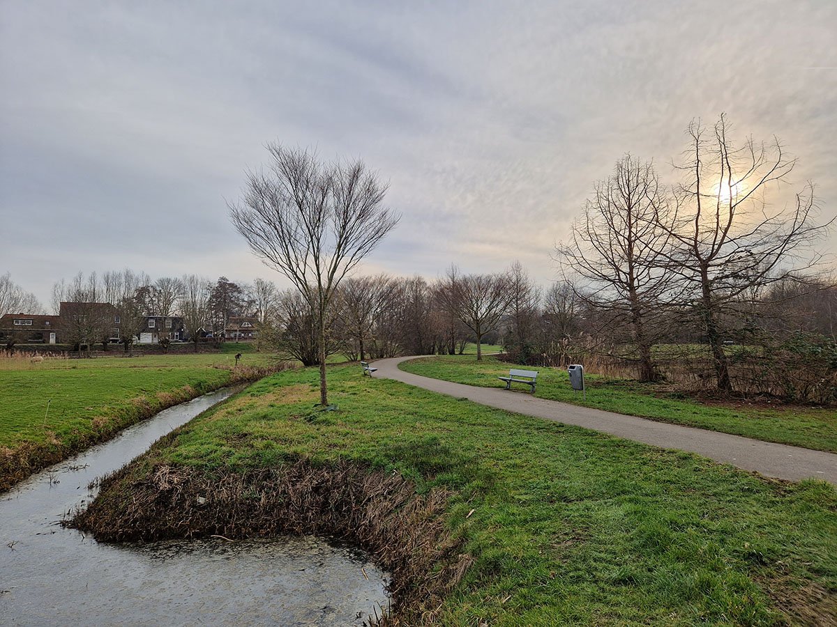 Frankhuispark