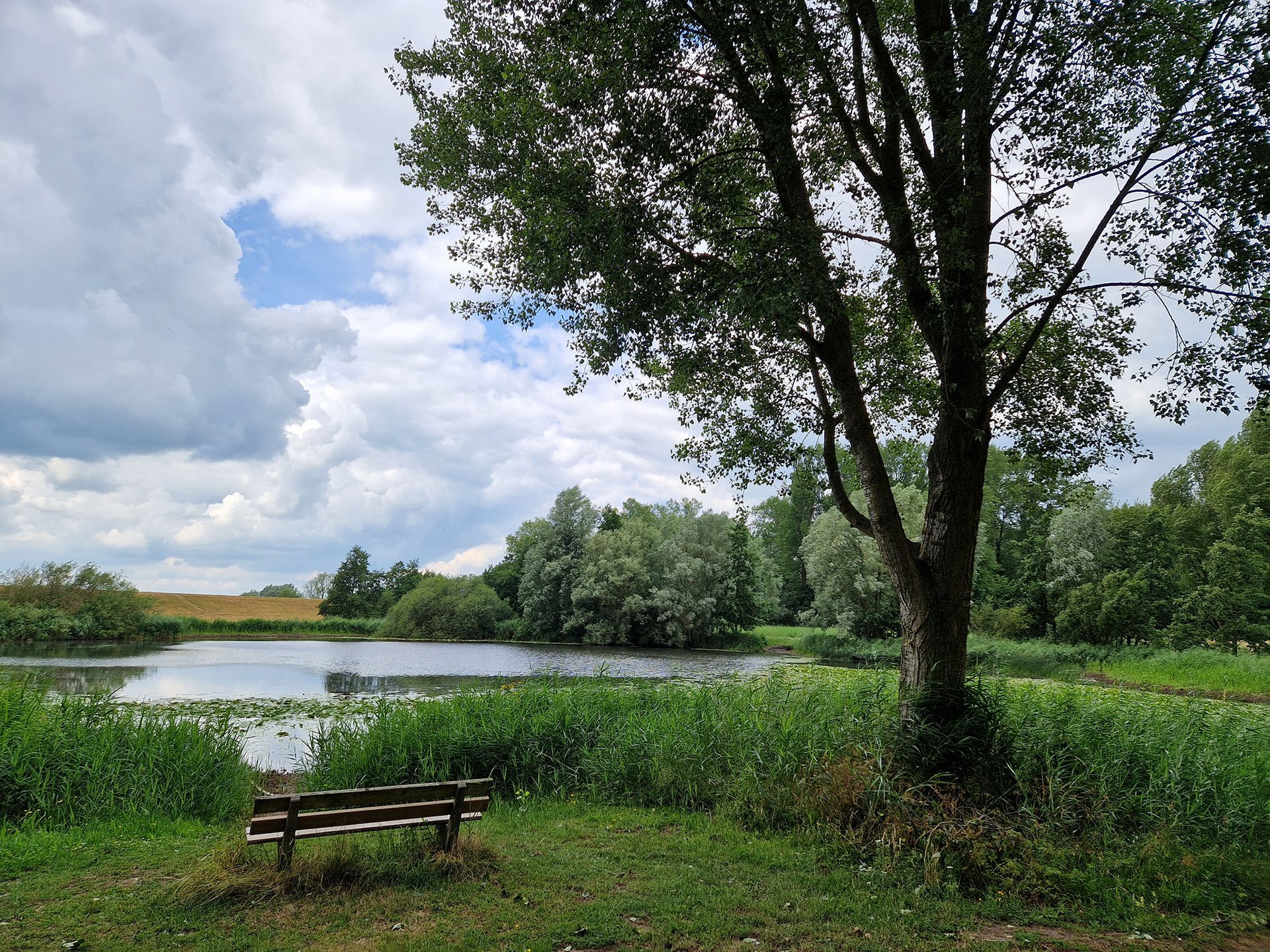 Oldenelerpark