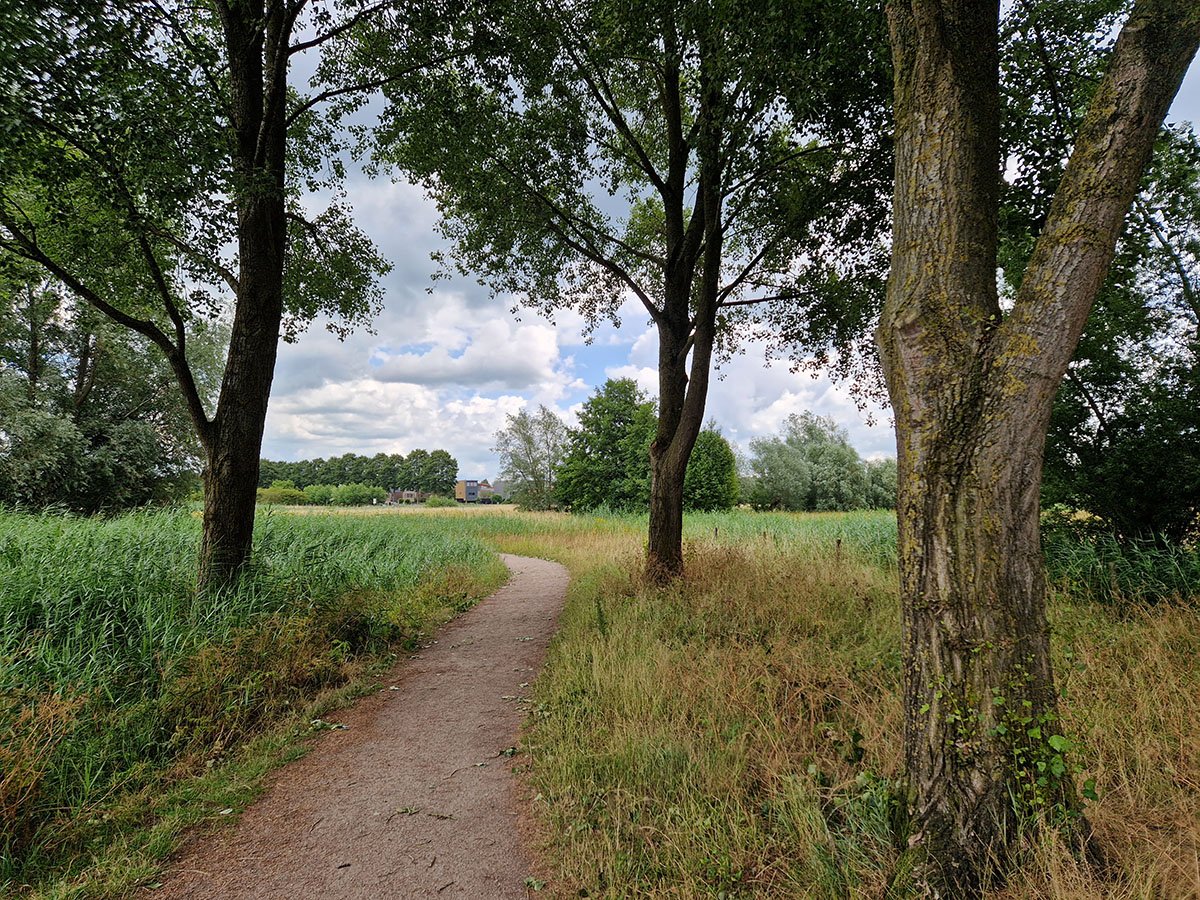 Oldenelerpark