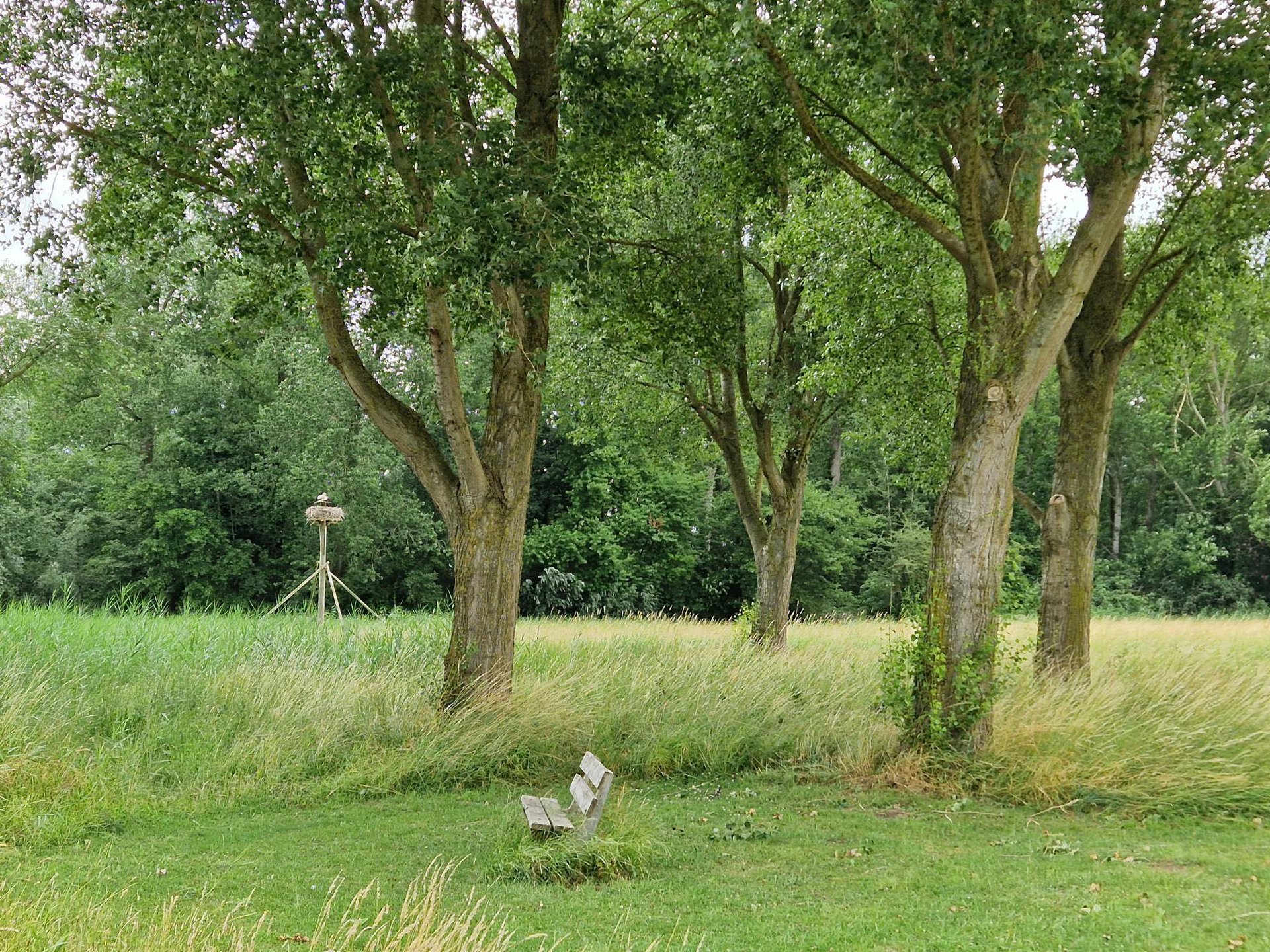 Oldenelerpark