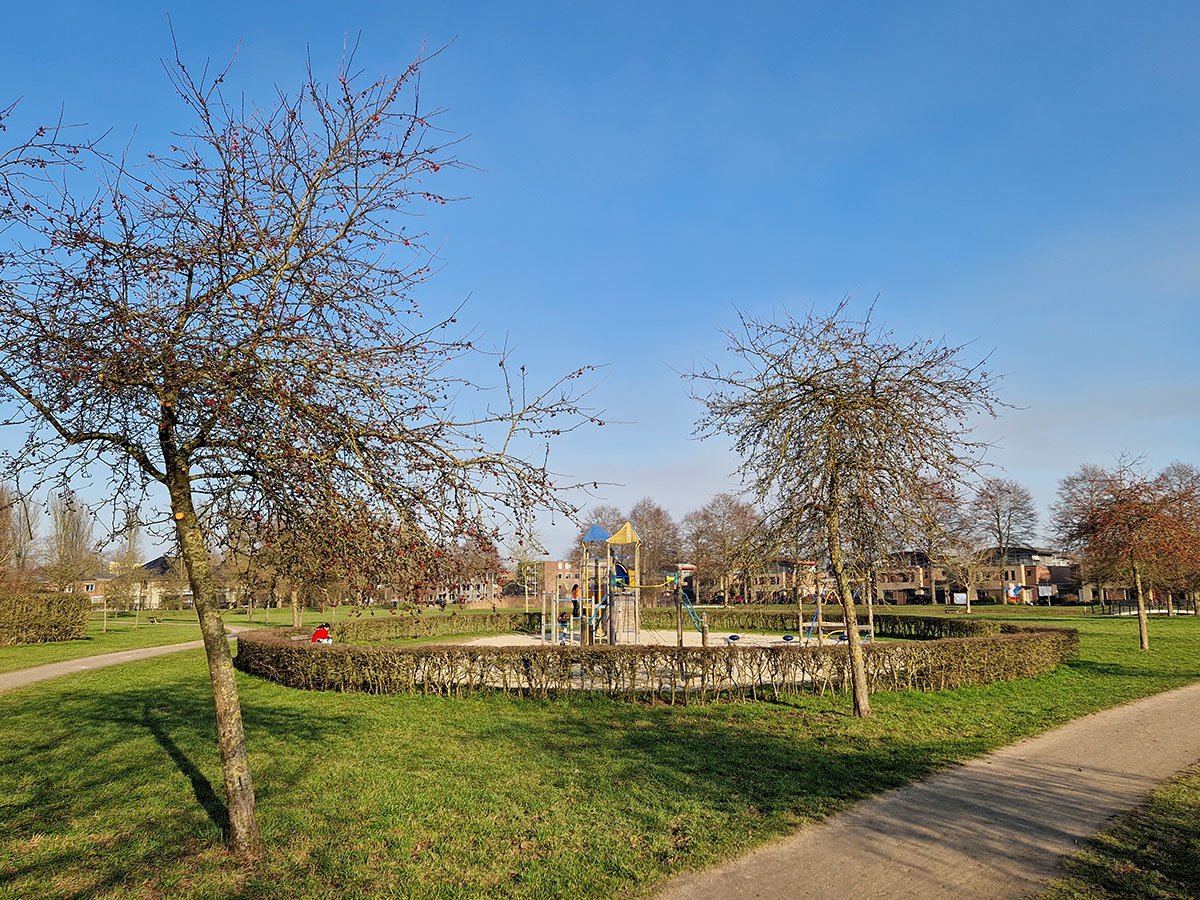Oldenelerpark