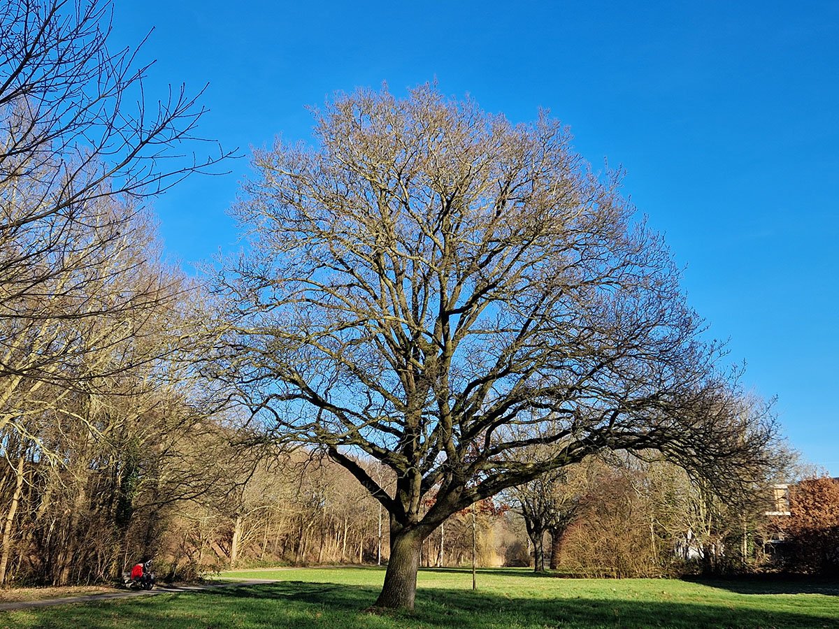 Oude Rijkswegpark