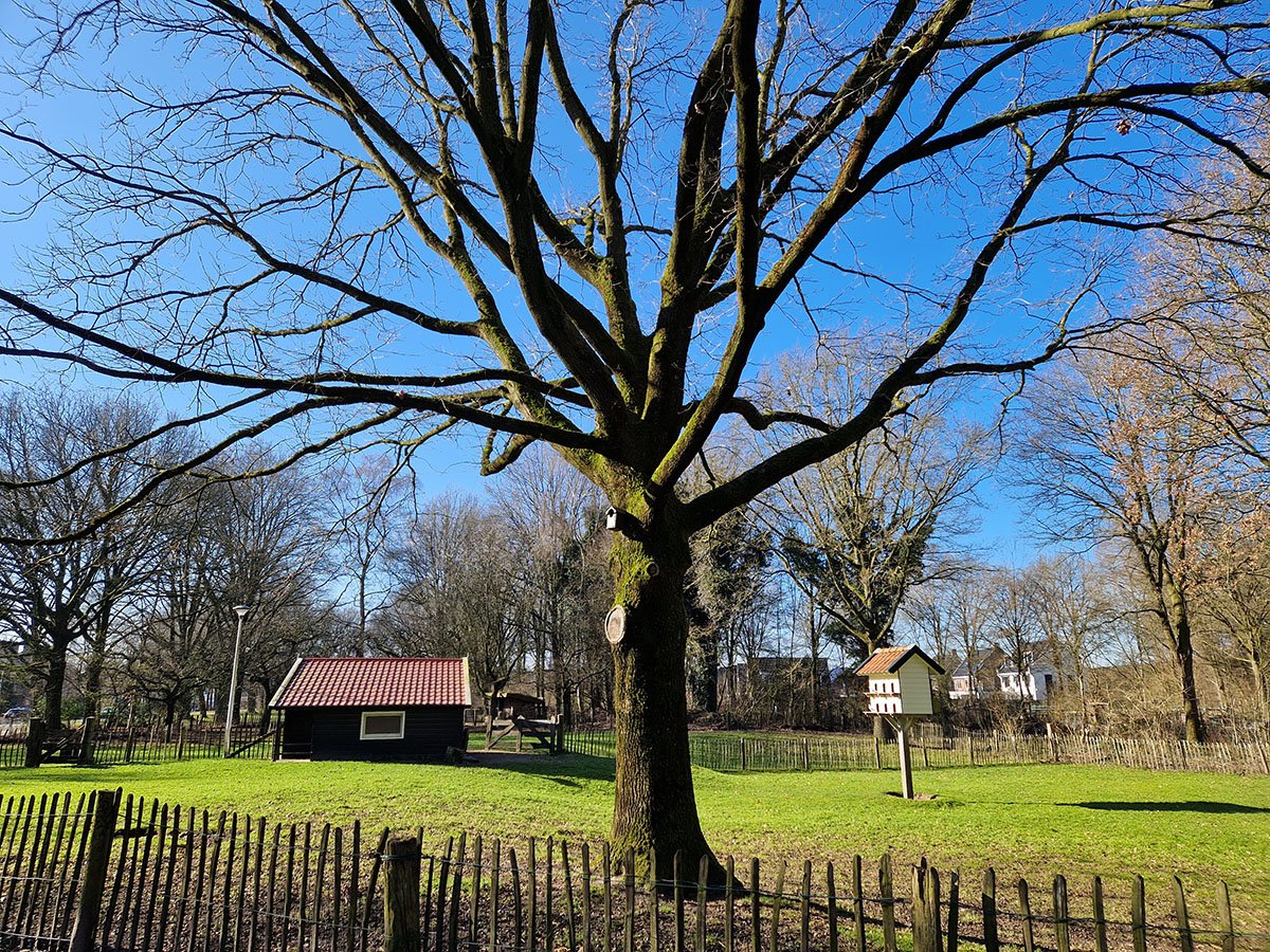 Prins Clauspark
