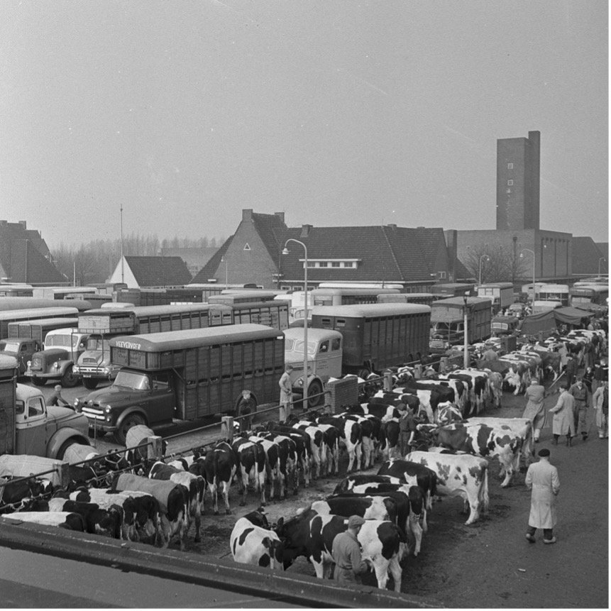 Archieffoto de Veemarkt uit de collectie van het Historisch Centrum Overijssel.