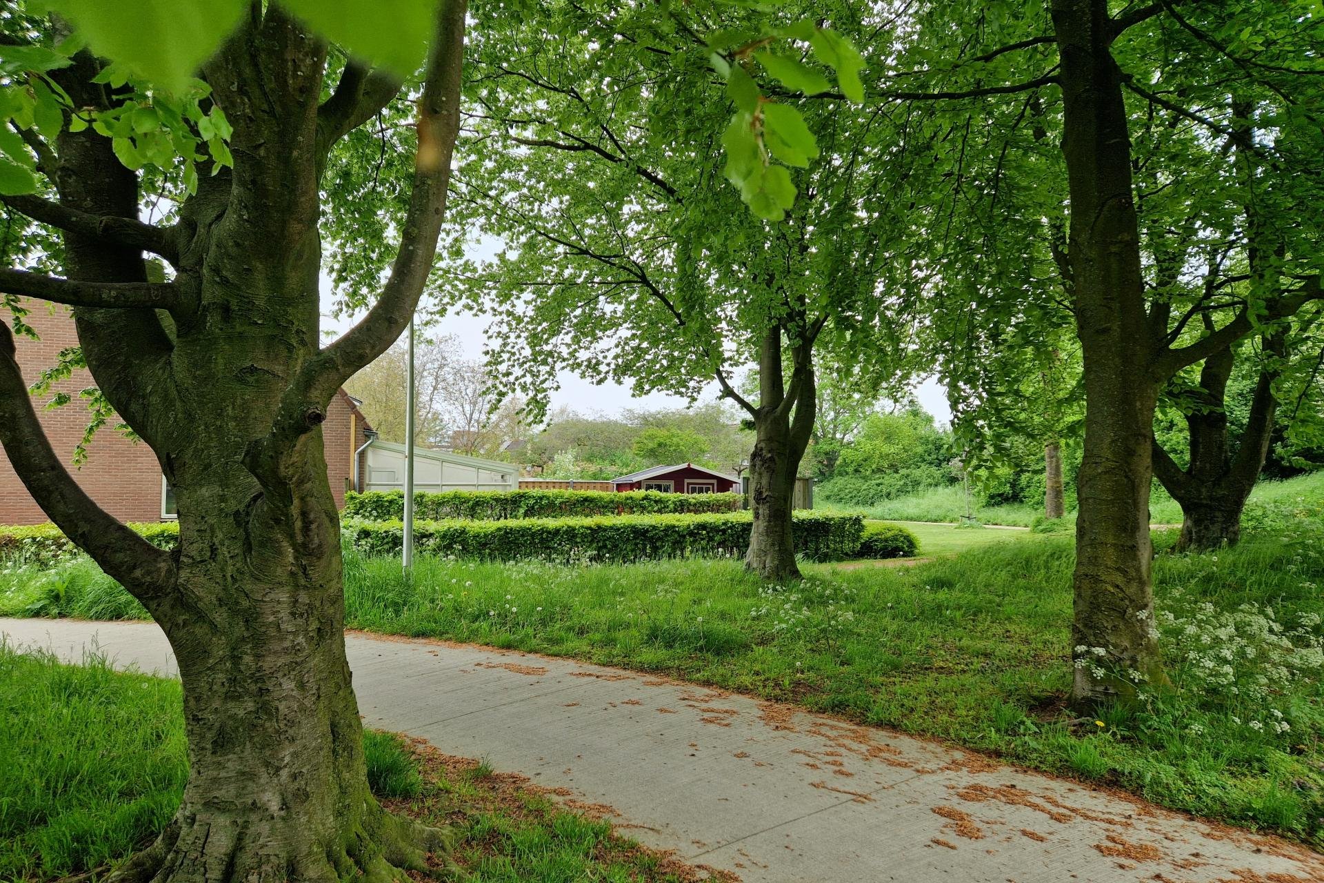 Park Gerenbroek