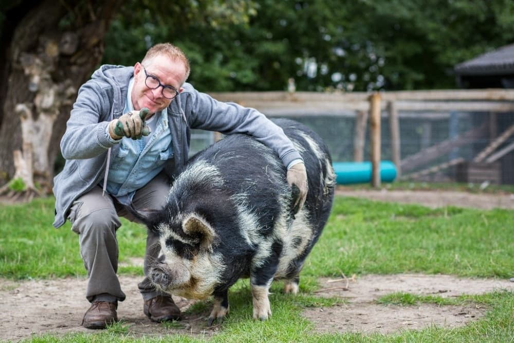 Levende have op Park De Stadshoeve