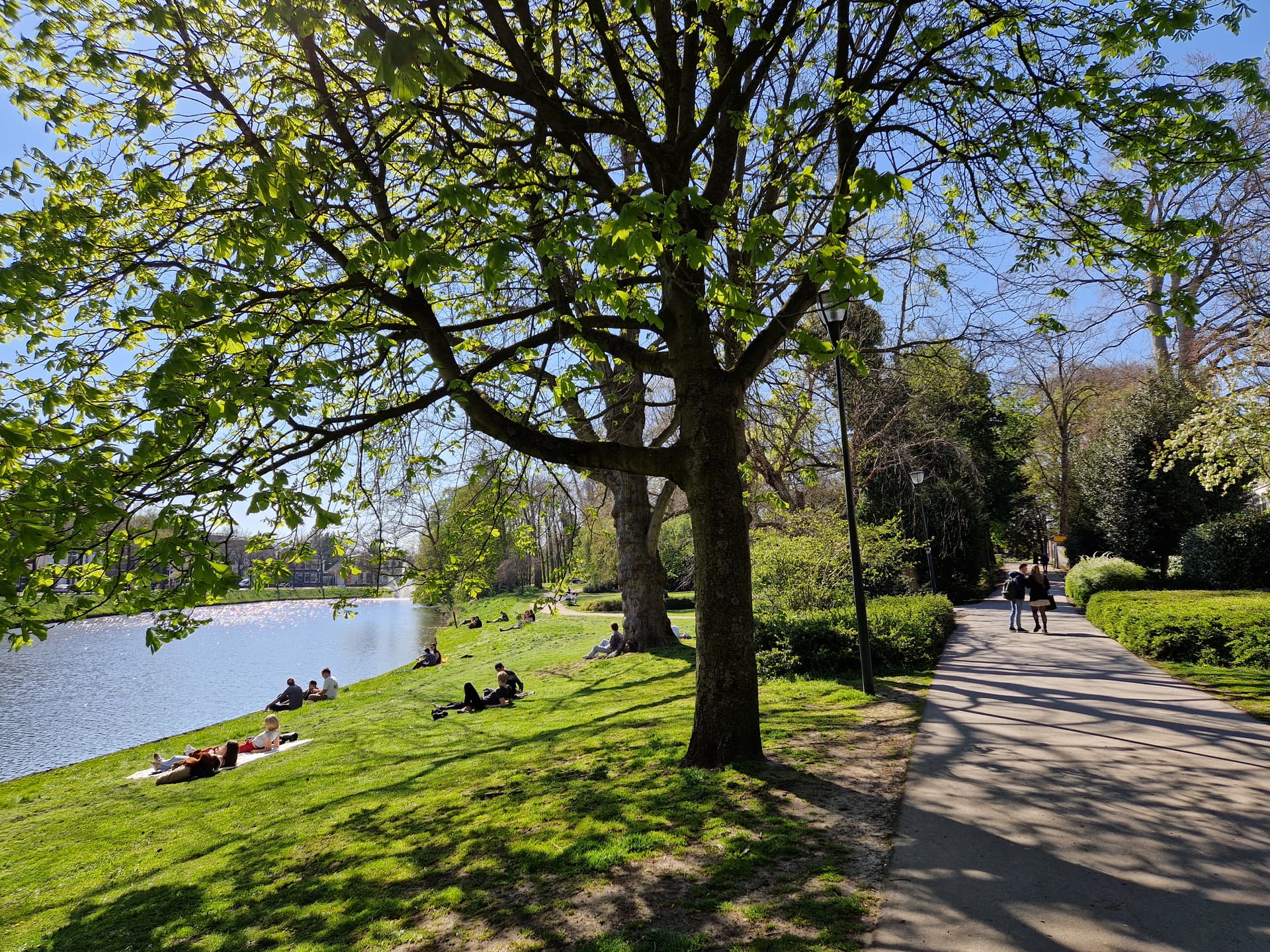 Potgietersingel