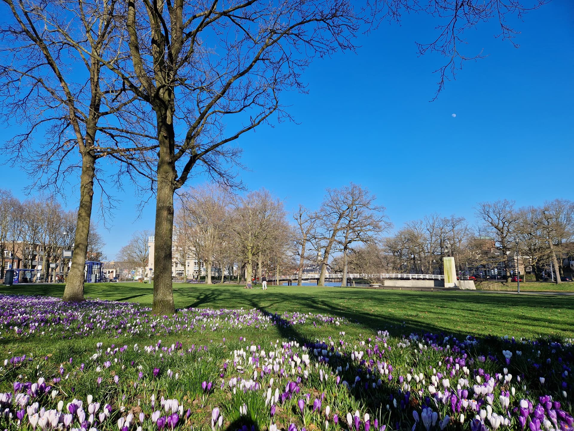 Ter Pelkwijkpark