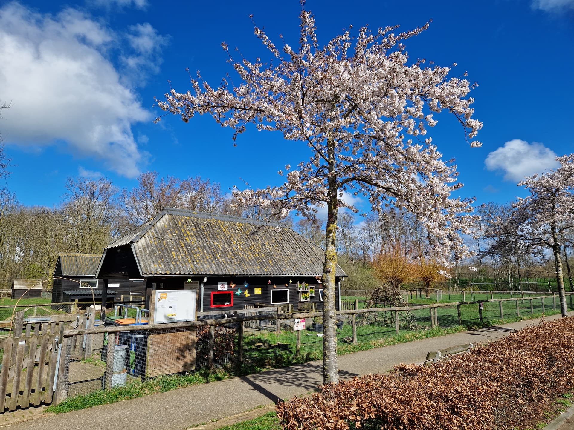 Wijkpark Berkum