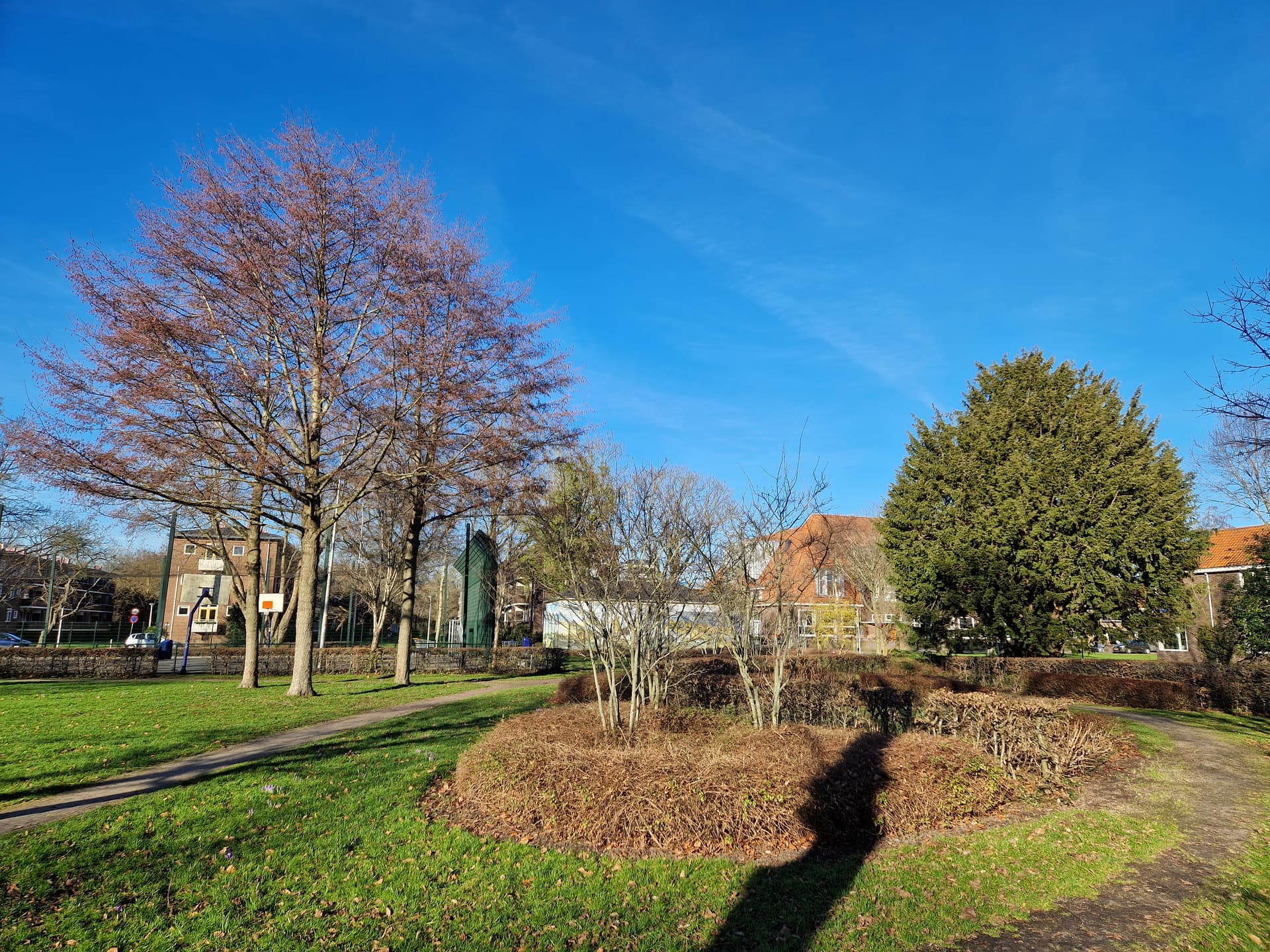 Hobbemapark p