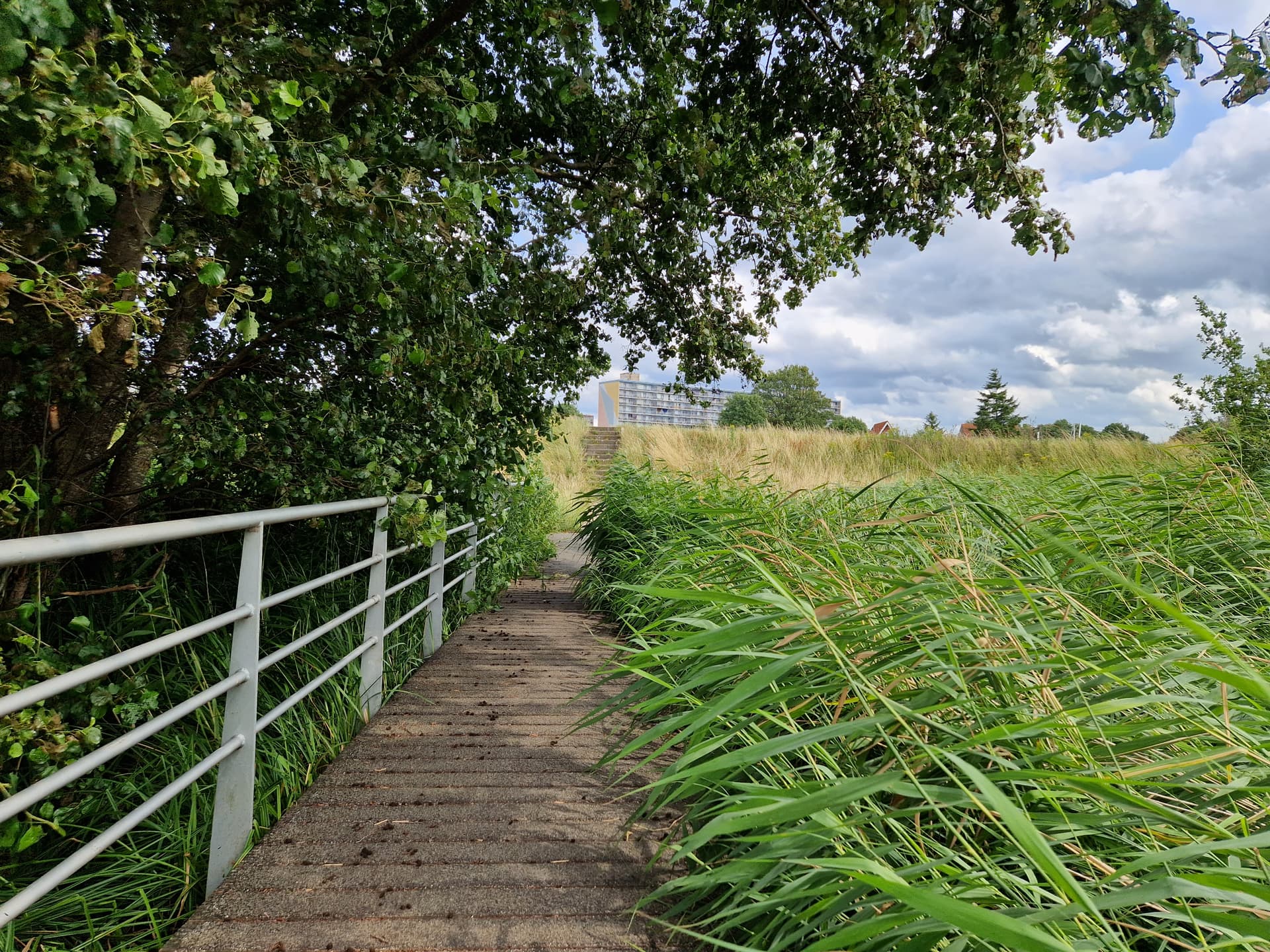 Schoonhorstpark