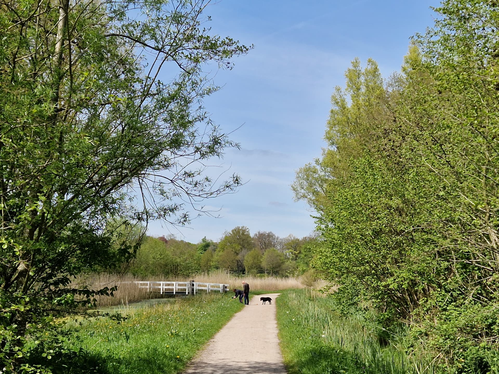Spoolderbos