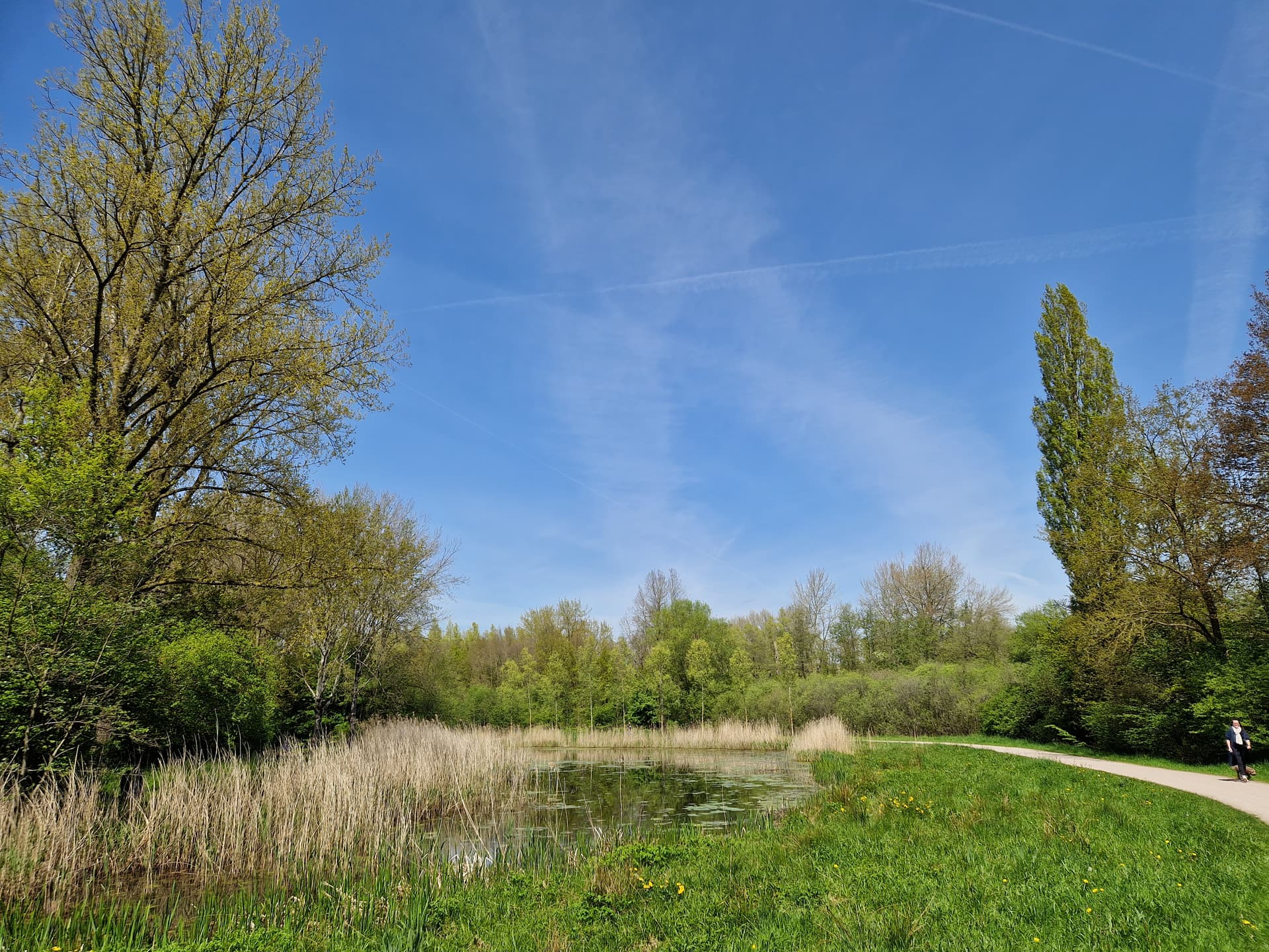 Spoolderbos